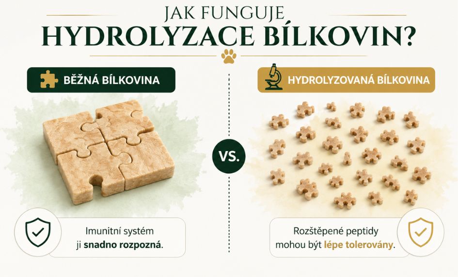 hydrolyzace-bilkovin-u-psu