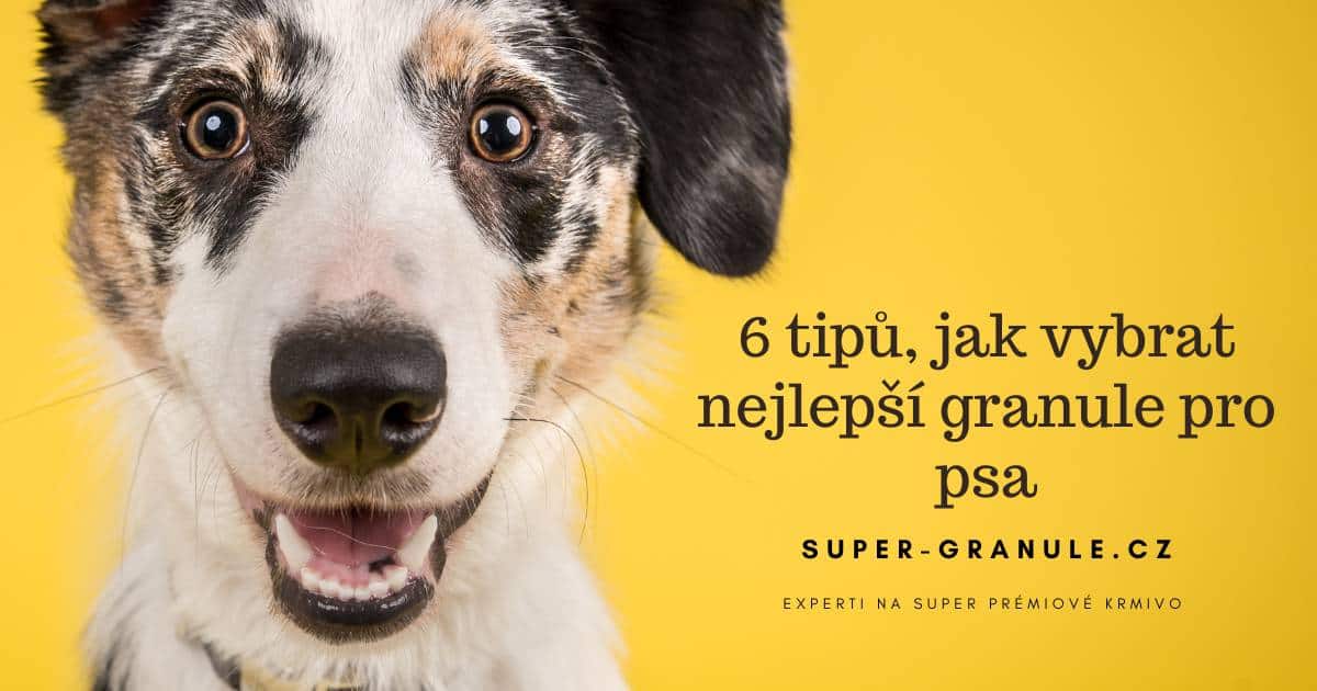 nejlepší granule pro psy - nejkvalitnější granule