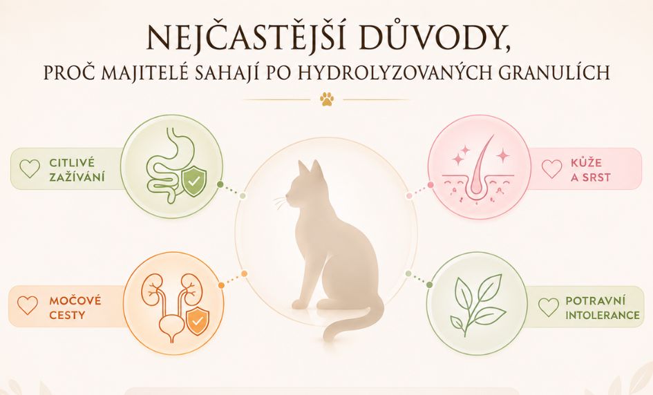kdy-maji-hydrolyzovane-granule-smysl
