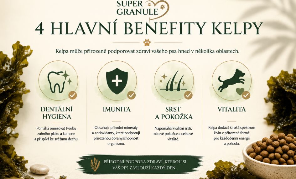 kelpa-benefity