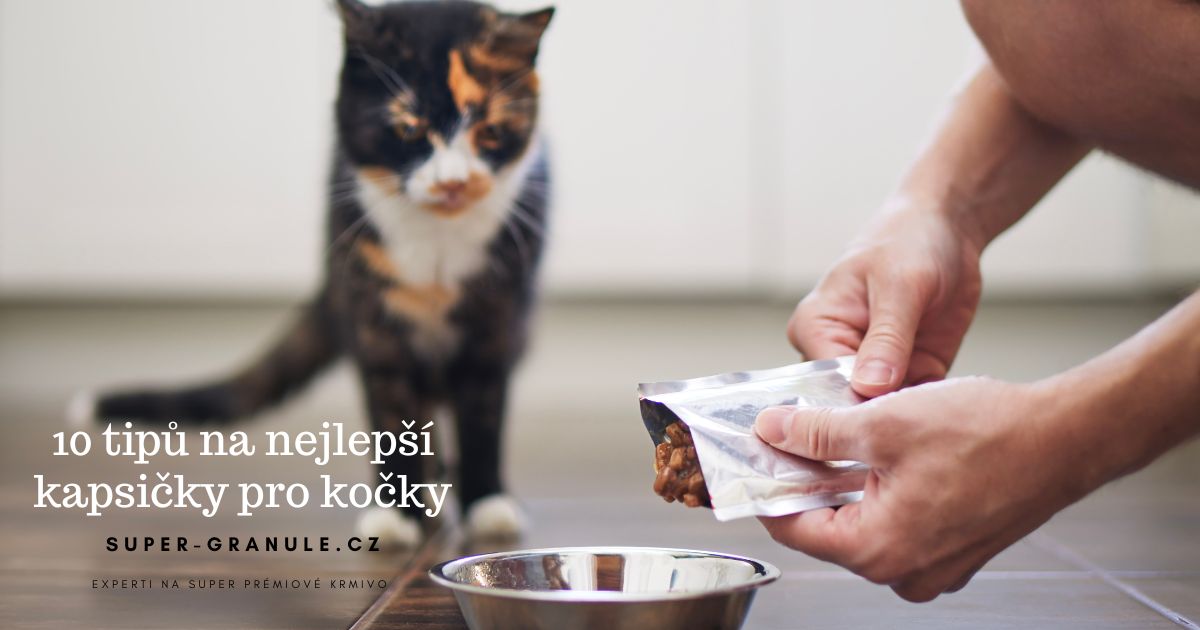 nejlepsi-kapsicky-pro-kocky