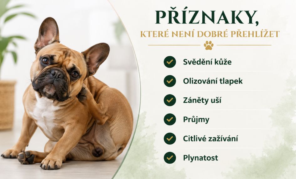 priznaky-potravinove-intolerance-u-psu