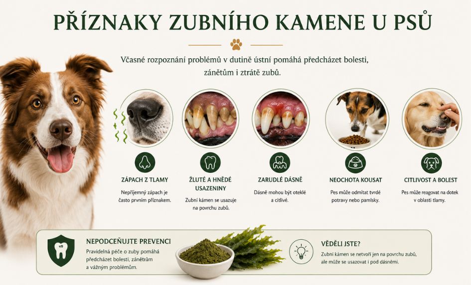 priznaky-zubni-kamen