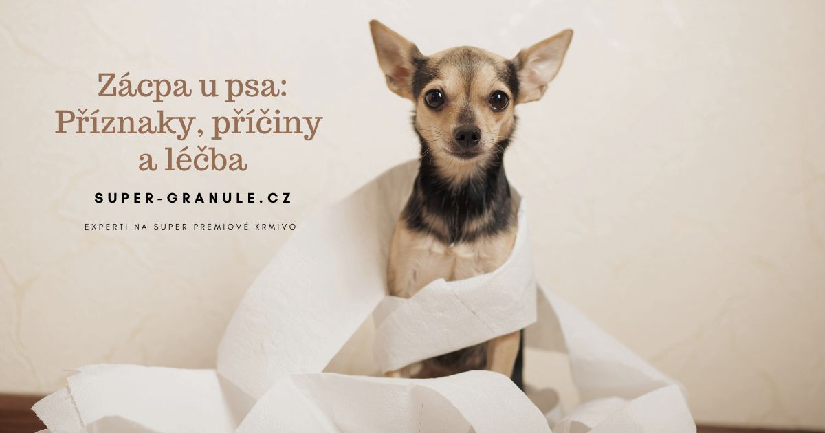 zacpa-u-psa
