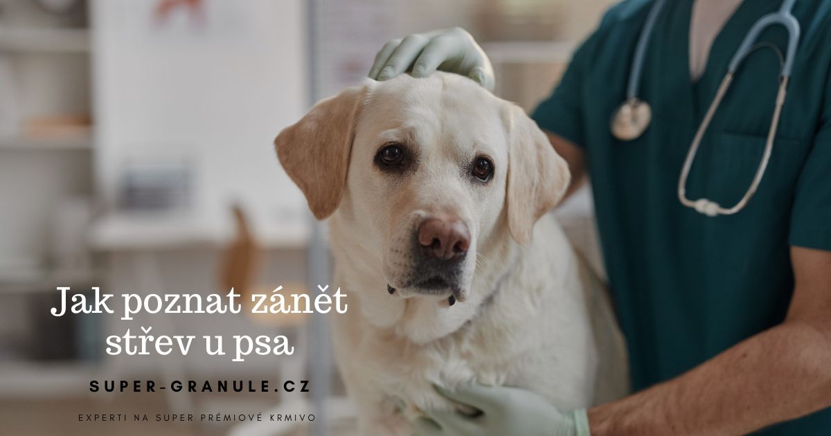 zanet-strev-u-psa