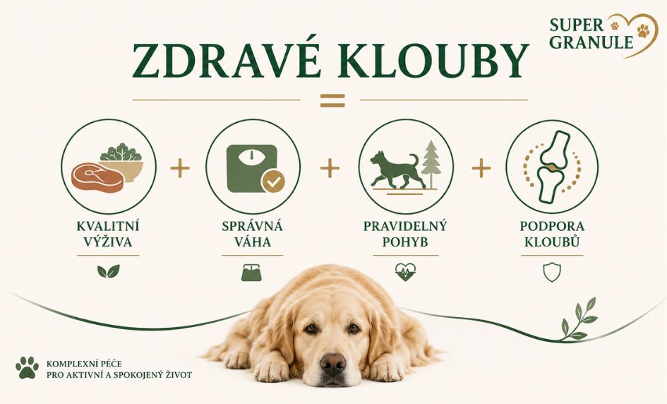 zdrave-klouby-pes-infografika