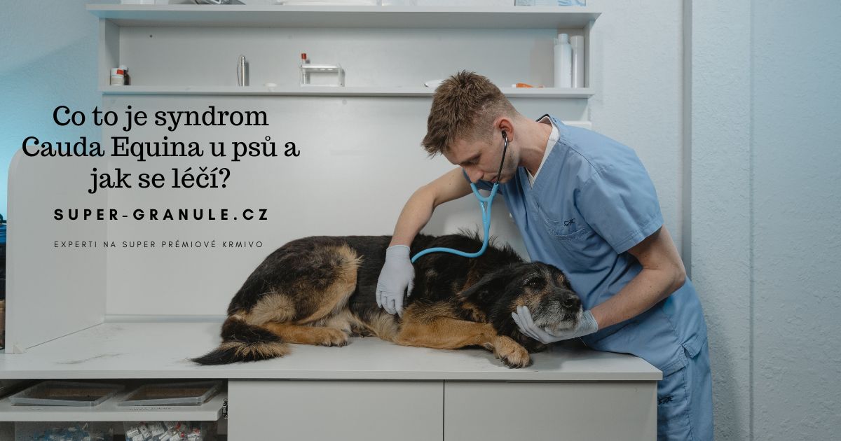 Co-to-je-syndrom-Cauda-Equina