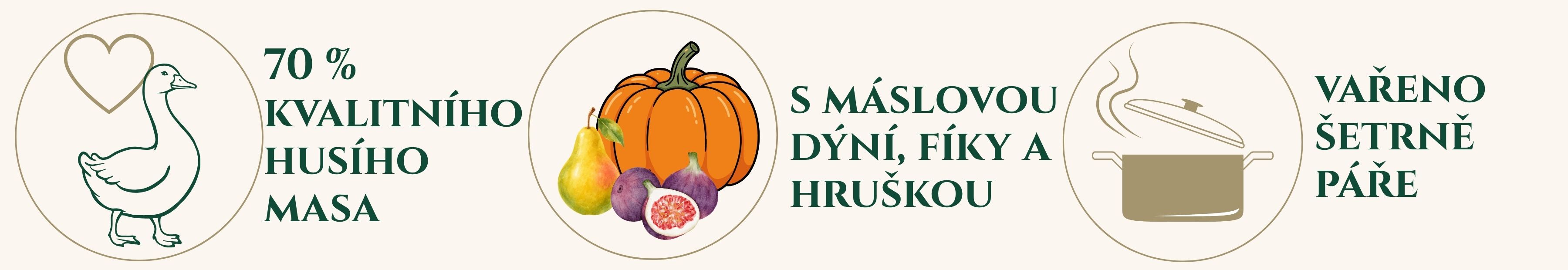husi-s-dyni-fidelis-usp-2.0