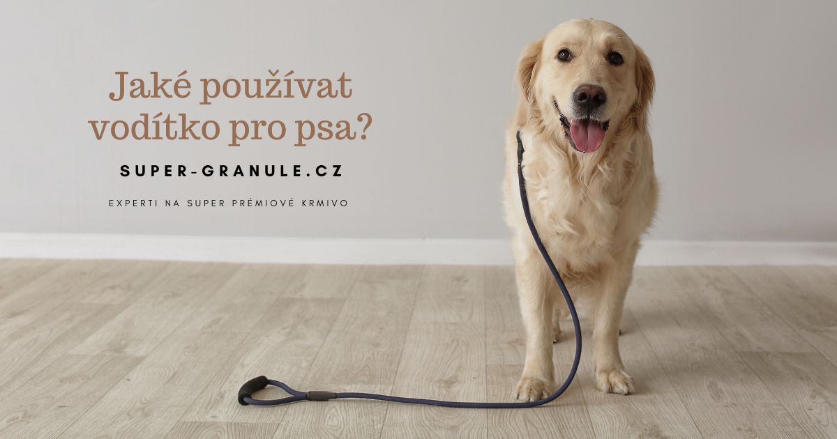 jake-voditko-pouzivat