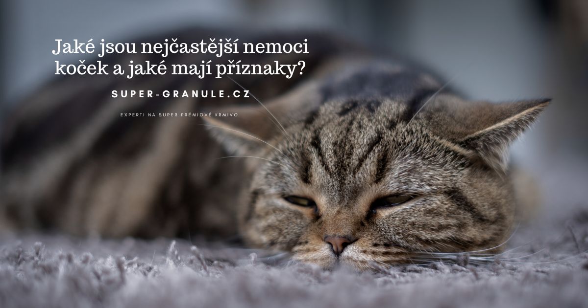 nejcastejsi-nemoci-kocek