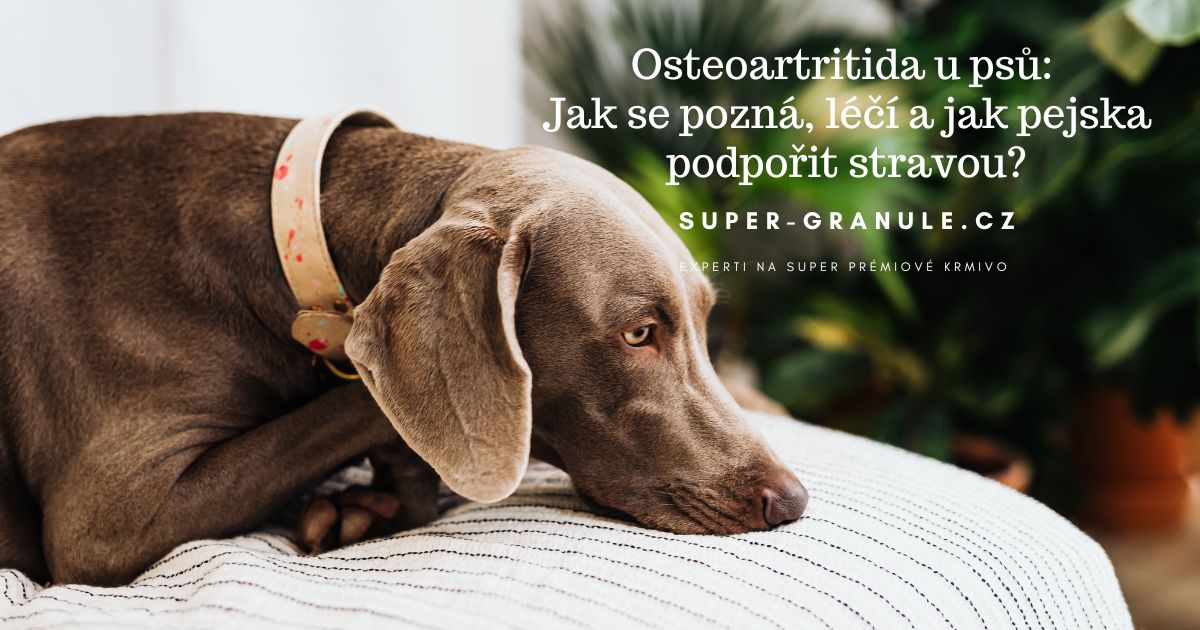 osteoartritida-u-psu