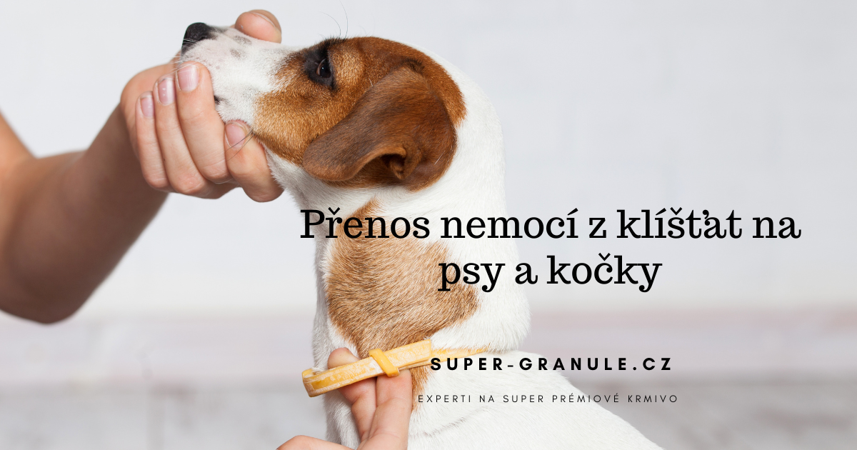 prenos-nemoci-z-klistat-na-psy-a-kocky
