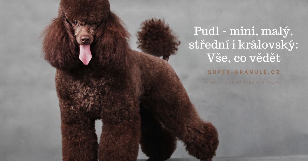 pudl