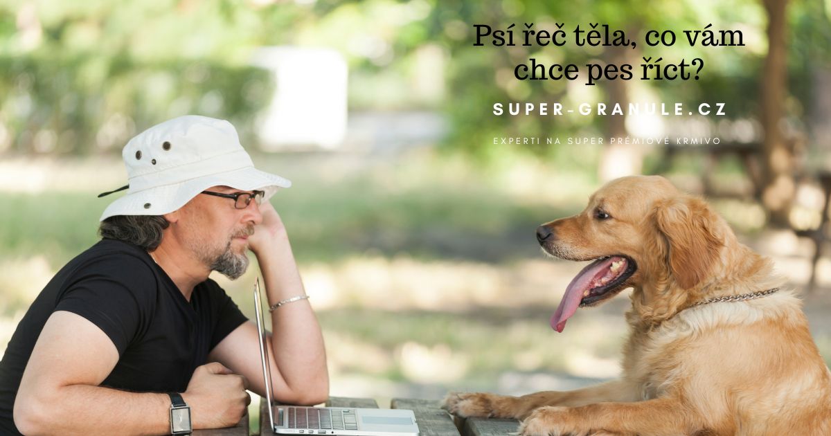 rec-tela-psa
