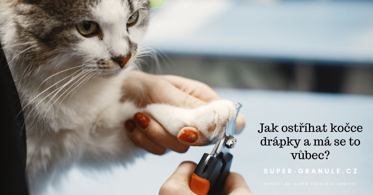 strihani-drapku-kocka