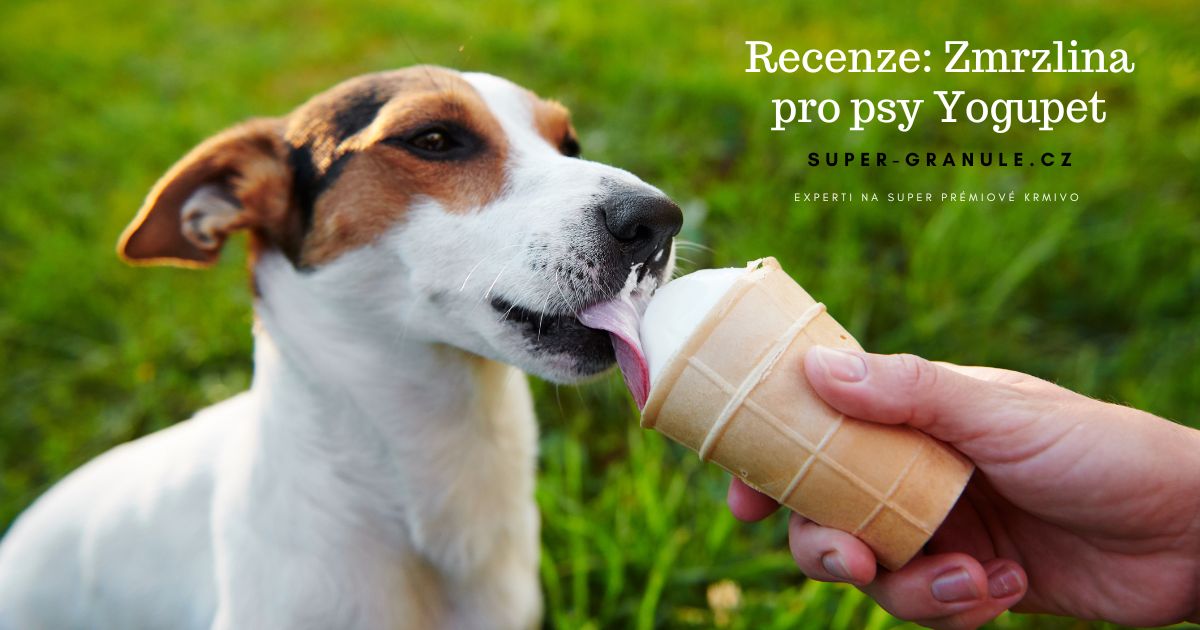 zmrzlina-pro-psy-recenze