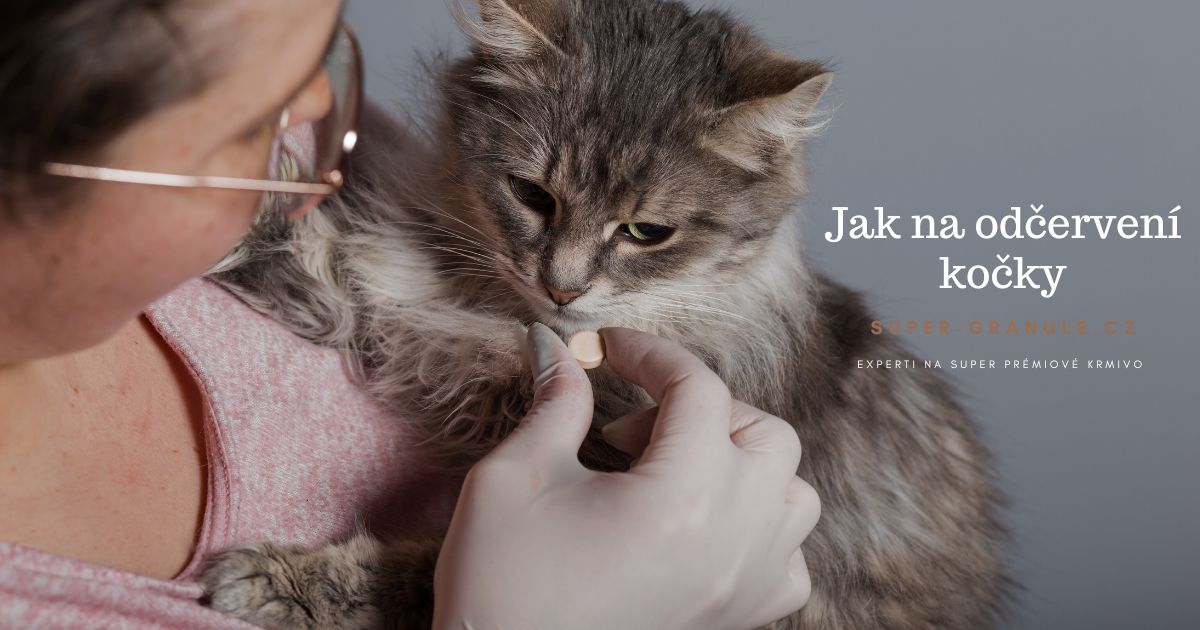 Jak Casto Odcervovat Kocku (mohou nakazit, požitím infikovaných, srdečními červy, infekce mohou) Jak Casto Odcervovat Kocku