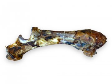 PhotoRoom 20231205 151827