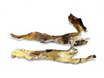 Photoroom 20260326 143603