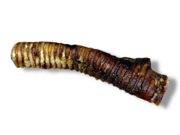 Photoroom 20251201 193908