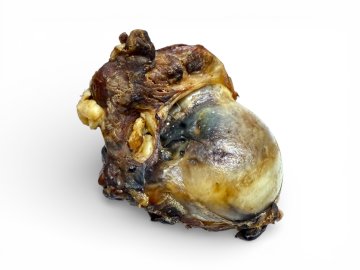 Photoroom 20251219 203028