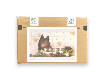 PhotoRoom 20231030 202746