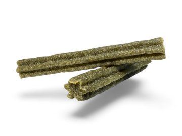 Photoroom 20260404 165341