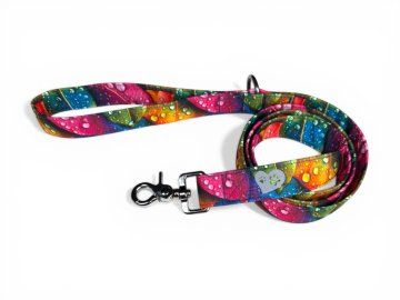 Photoroom 20260402 152534