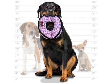 t u 4wr pl dog
