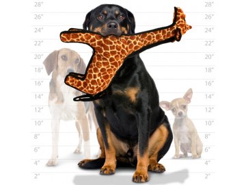 1554291572T Z Giraffe dog