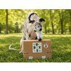 dox box prazdninova edice by dylan a tyna