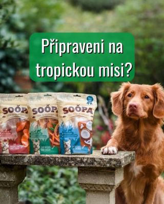 Právě nám dorazily NOVINKY od SOOPA! 🐶🥥 100% přírodní žvýkací pamlsky v exotických příchutích – batáty, kokos a papája....