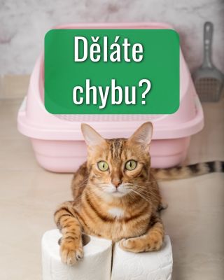 Kočky nejsou tvrdohlavé. 🐱 Když chodí mimo záchod, většinou vám jen něco „říkají“. Často stačí změnit místo toalety, typ...