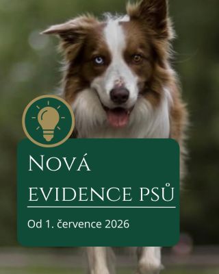 🐶 Od 1. července 2026 funguje Centrální evidence psů (CEP). Nově musí být každý pes zapsán do tohoto státního registru. 📌...