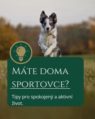 🐕Máte doma aktivního pejska? Nestačí jen pohyb. Pro jeho kondici je důležitá také: 🥣 kvalitní výživa 💧 dostatek vody 🐴...