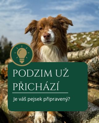🍂 Podzim už je za dveřmi. S prvními chladnějšími dny přichází mokro, bláto, kratší dny a trochu jiná péče o naše chlupáče....