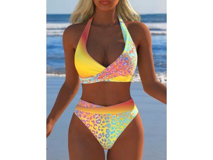 Plavky dámské dvoudílné barevné