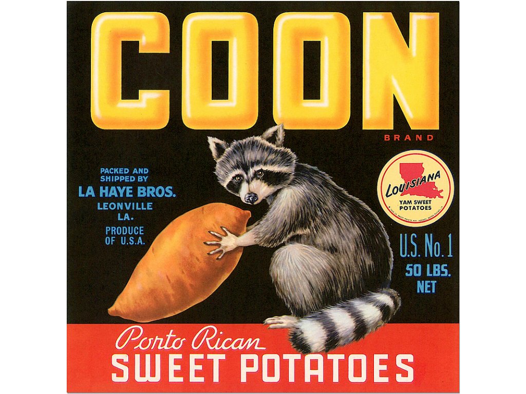 800 50x50cm Vintage produce posters advertising coon