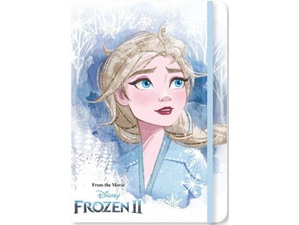 Sešit A5 Frozen 2