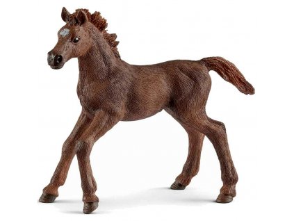 Schleich Anglický plnokrevník hříbě 13857