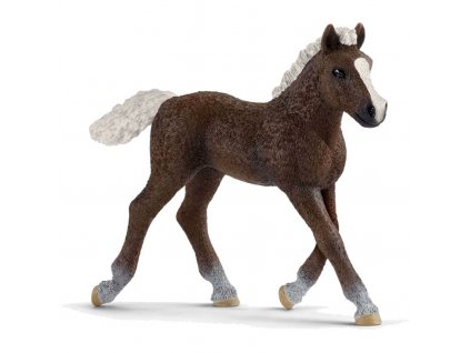 Schleich Schwarzwaldský kůň hříbě 13899