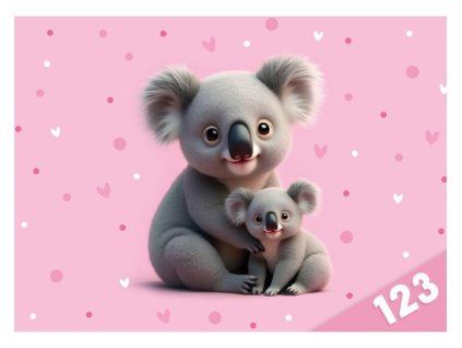 Desky na číslice Koala s 20 kapsičkami
