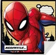 EUROSWAN Magický ručník Spiderman / Avengers bavlna 30x30 DESIGN: SPIDERMAN