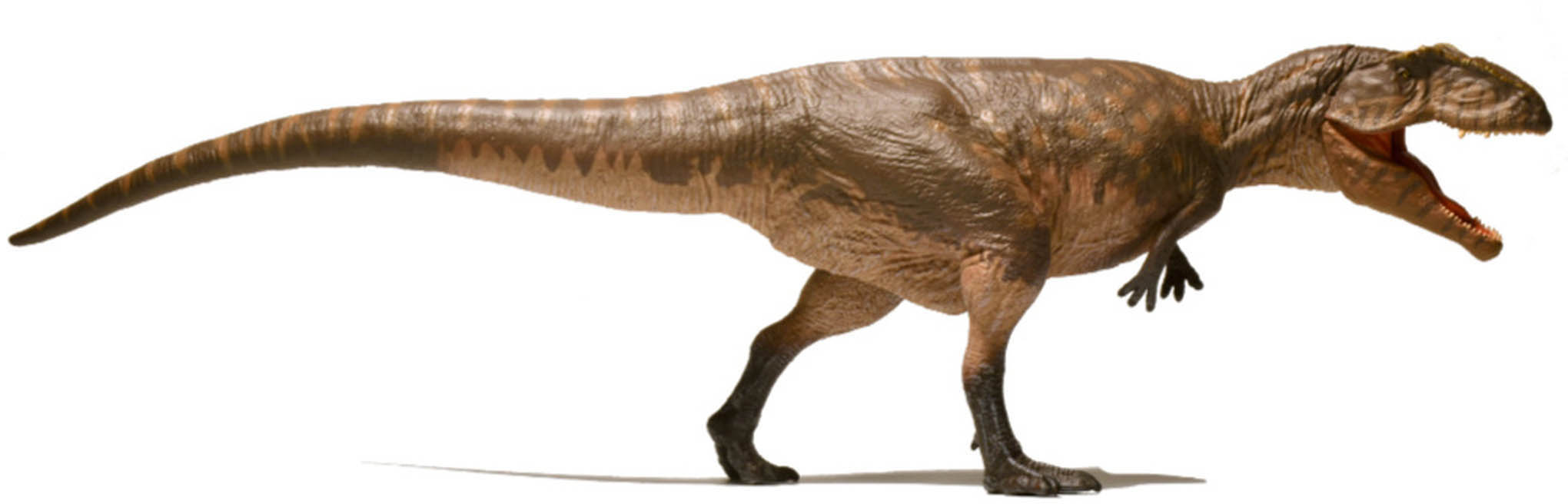 EOFAUNA Gigantosaurus 1:35