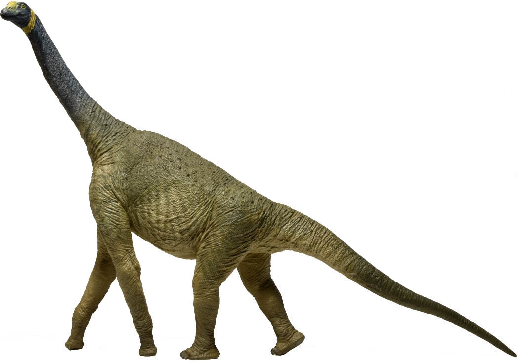 EOFAUNA Atlasaurus 1:40