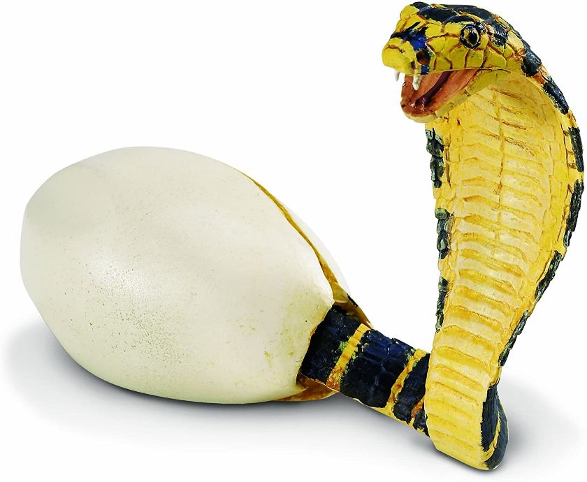 Safari Líhnoucí se kobra 258529