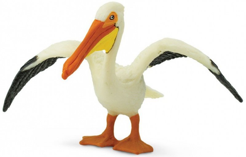 Safari Pelikán Severoamerický 241829