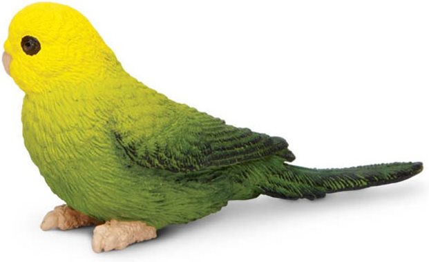 Safari Andulka Zelená 150429