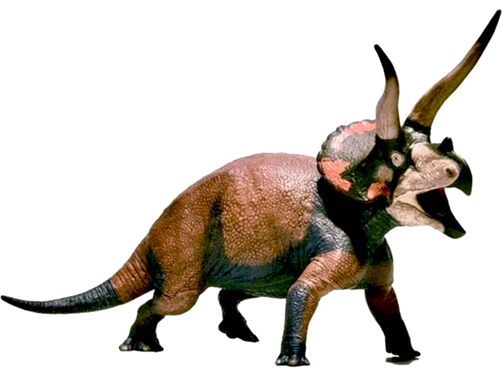 EOFAUNA Triceratops 1:35