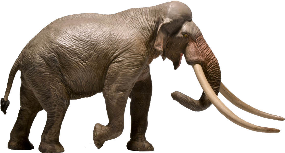 EOFAUNA Palaeoloxodon antiquus - Slon s rovnými kly 1:35